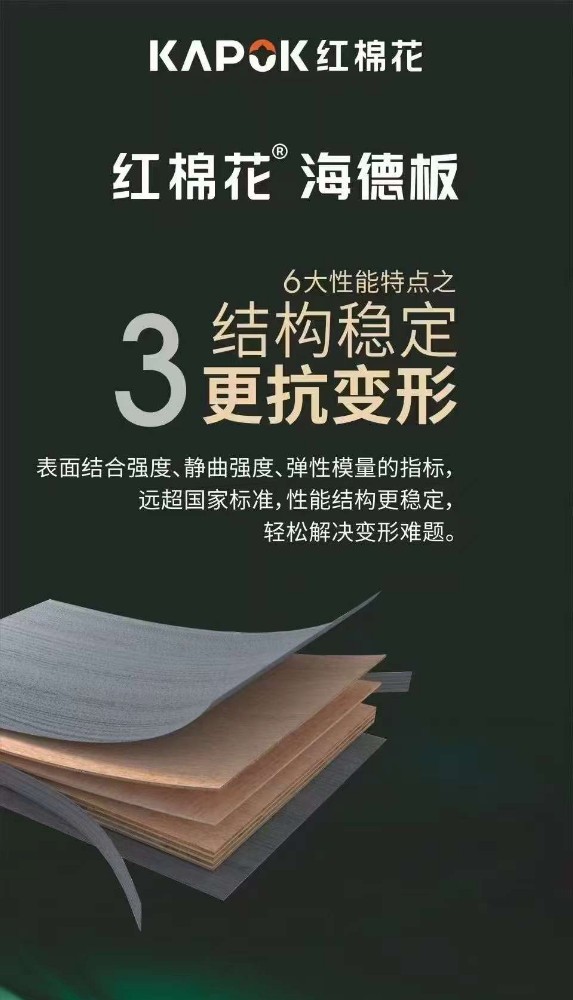 1730970441809400.jpg